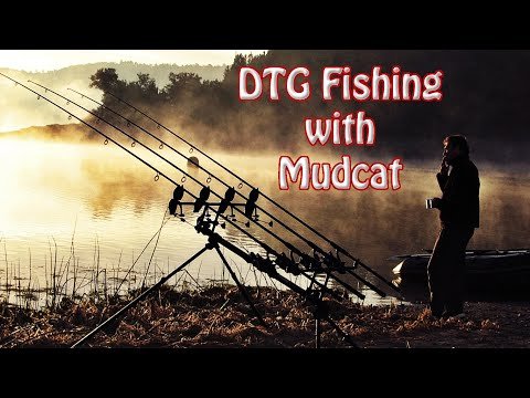 Карповая рыбалка