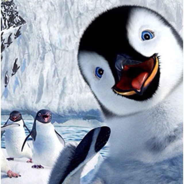 Пингвин заставка на телефон