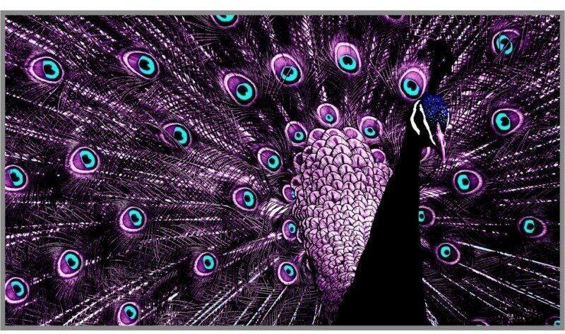 Индийский Павлин