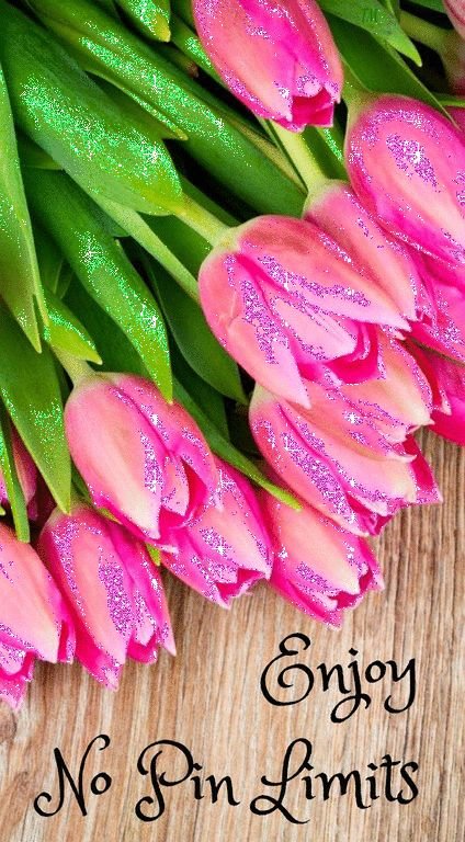 Цветы тюльпаны