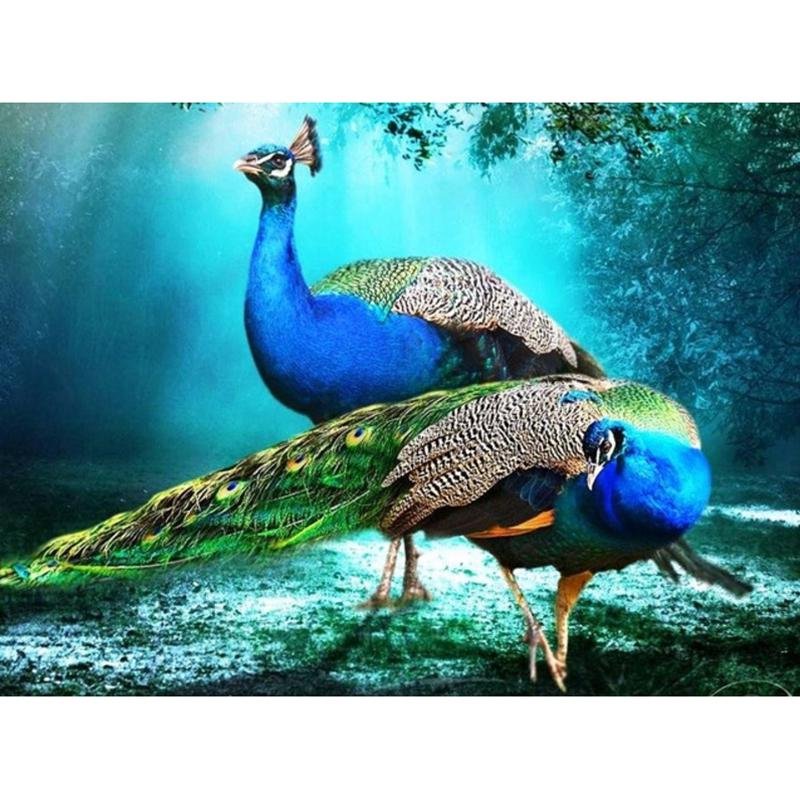 Индокитайский Павлин