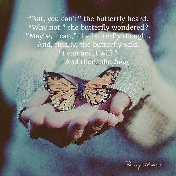 Бабочка на ладони