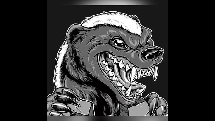 Барсук медоед арт