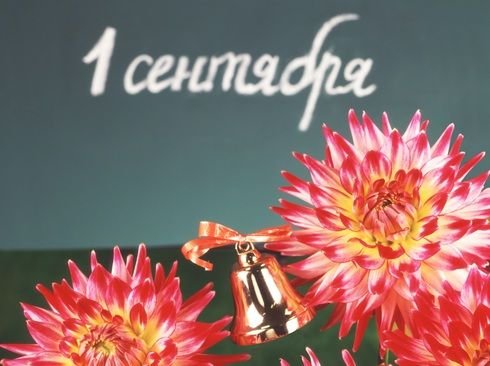 Открытки с днём знаний 1 сентября
