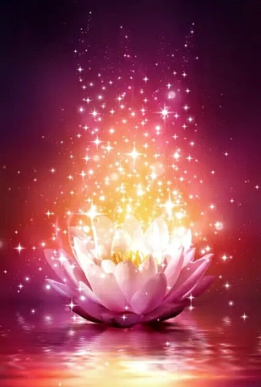 Сказочные цветы