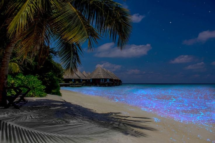 Пляж Ваадху Мальдивы