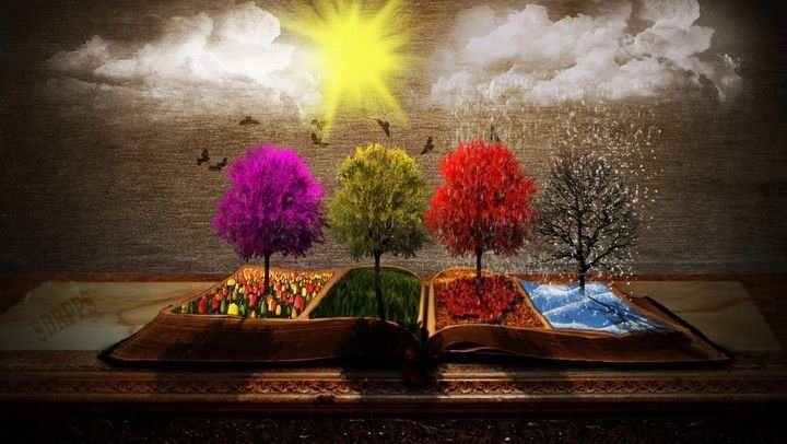 4 Сезона года