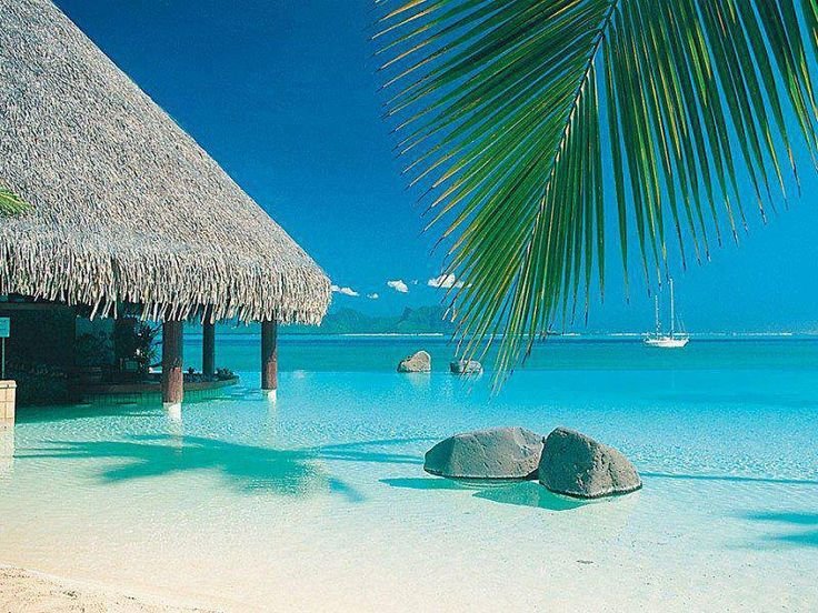 Канары, Карибы, Мальдивы, Сейшелы.