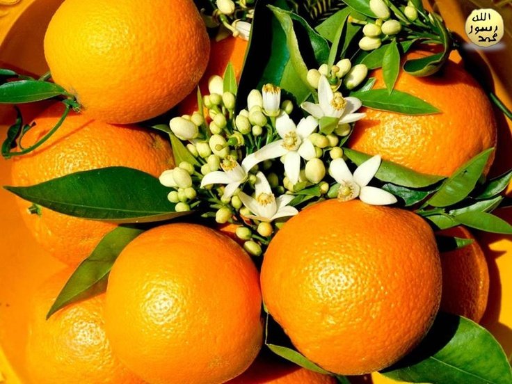 Сочный мандарин