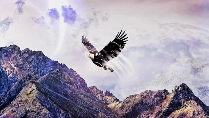 Орел на фоне гор
