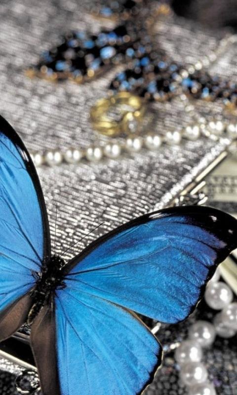 Гламурные заставки на телефон