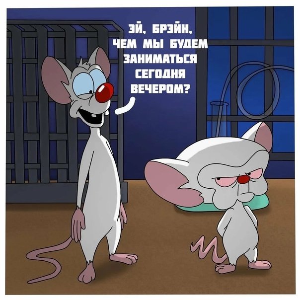 Пинки и Брейн девочка