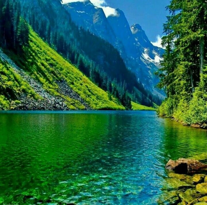 Красивая природа