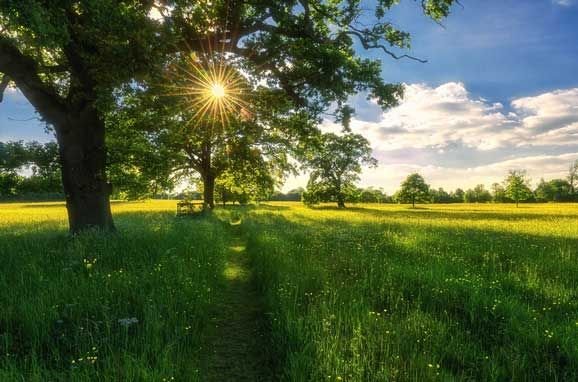 Лето природа