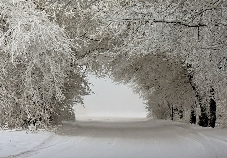 Зимний пейзаж