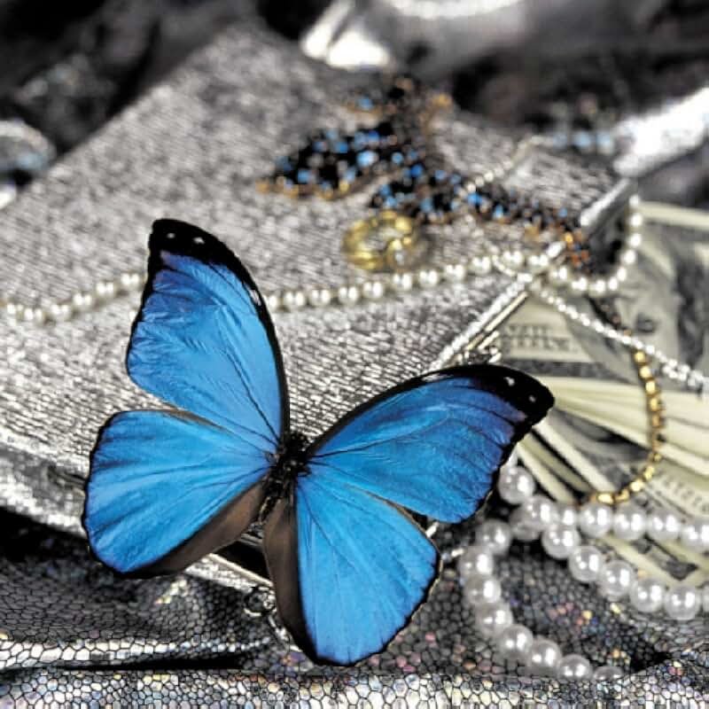 Заставка на айфон бабочки