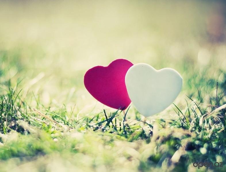 Заставка на рабочий стол любовь