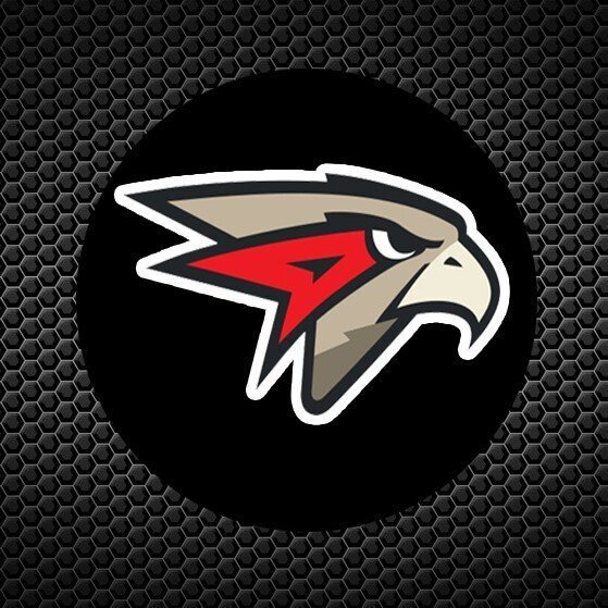 Символ Авангарда Омск ястреб