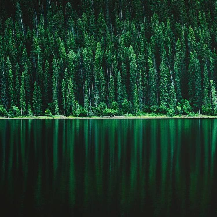 Картинки на рабочий стол