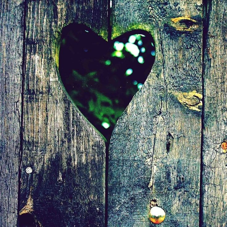 Сердечки в природе