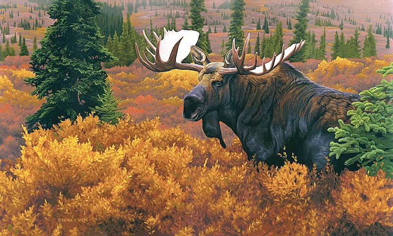 Лось в лесу