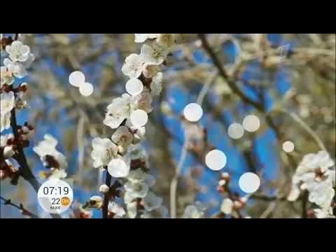 Программа доброе утро