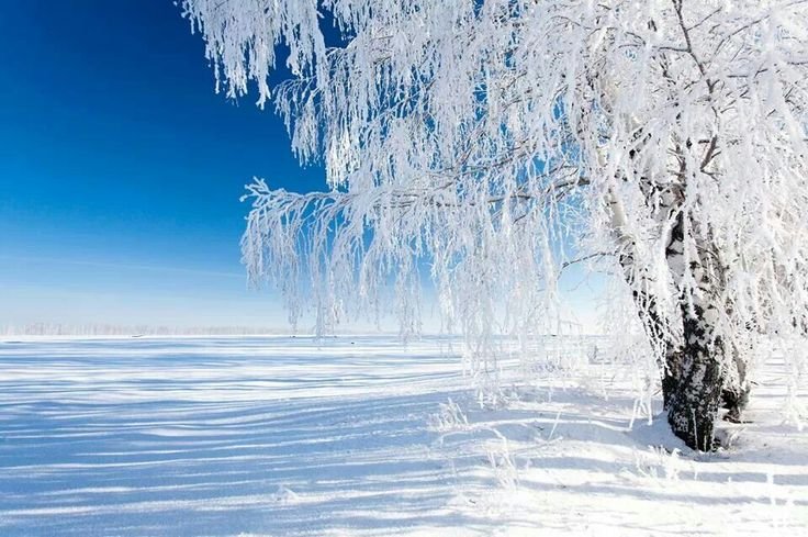 Зимний пейзаж