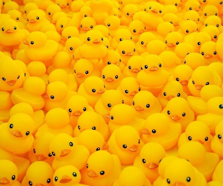 Резиновые уточки Эстетика