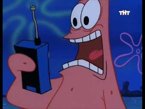 Губка Боб ТНТ