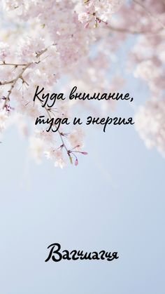 Обои на телефон аффирмации