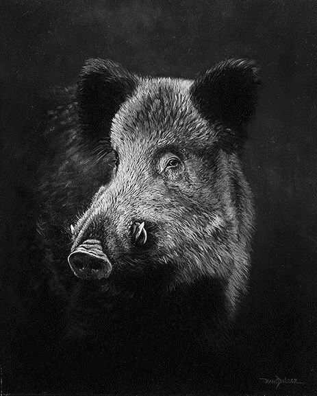 Кабан Вепрь секач