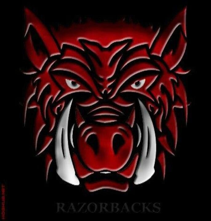 Кабан на аву