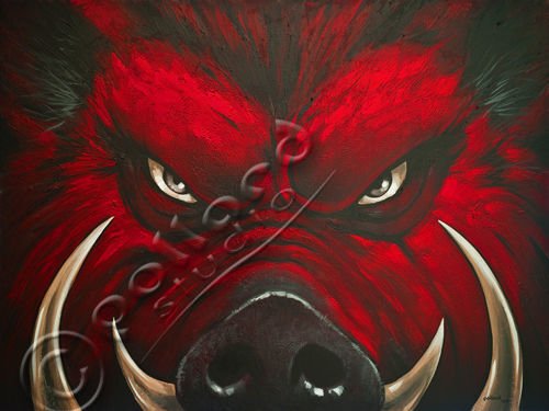 Красный кабан