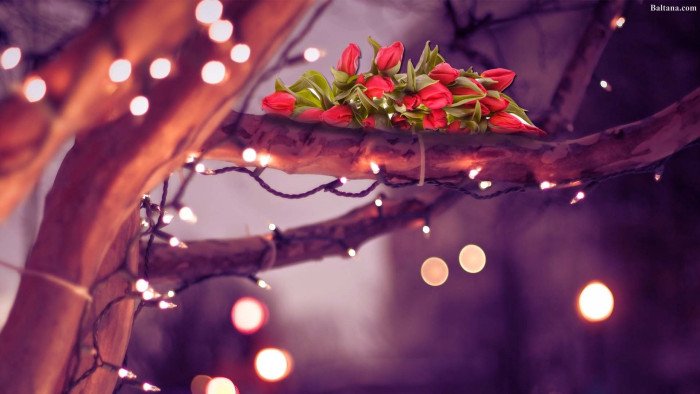 Уютная Весна