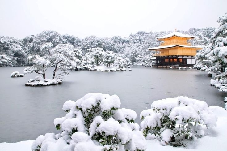 Йокогама Япония зима