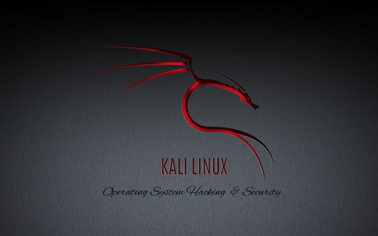 Kali Linux фон рабочего стола