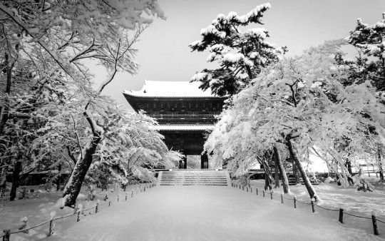 Киото (город в Японии)