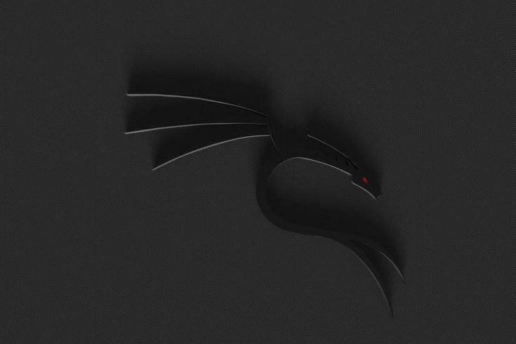 Кали линукс