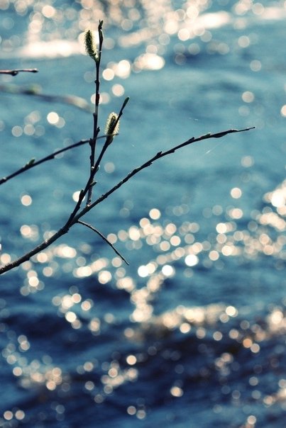 Весна солнце