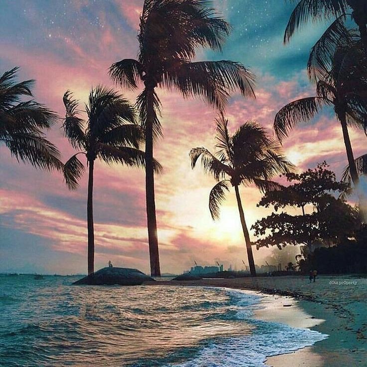 Красивые пейзажи с пальмами