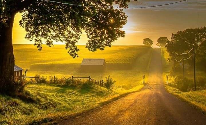 Дорога на рассвет