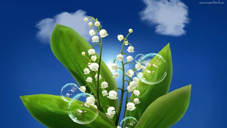 Цветы Ландыши