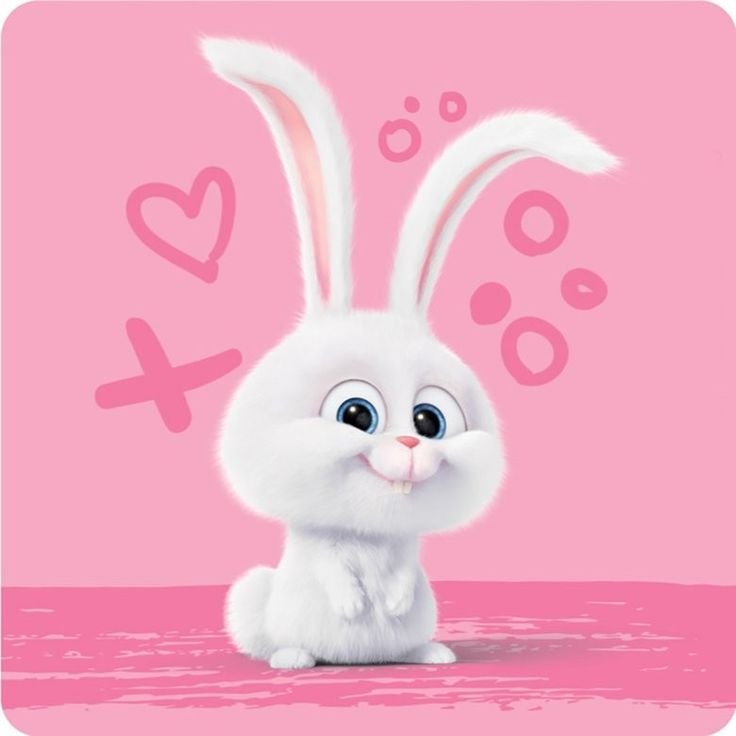 Заяц из Тайная жизнь домашних животных