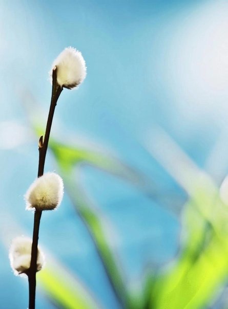 Весенняя тема