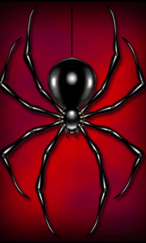 Крутые пауки