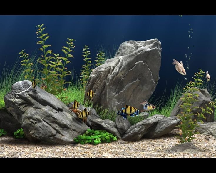 Аквариум 3д