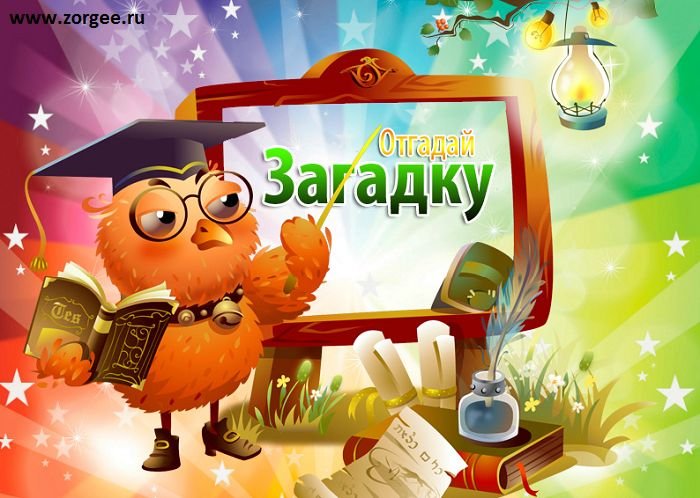 Отгадай загадку