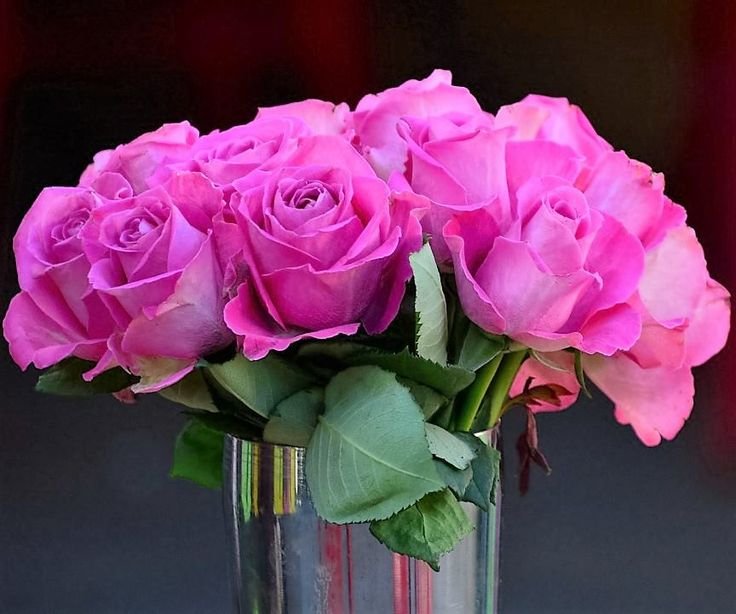 Розовые розы