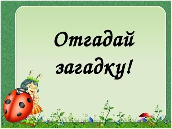 Загадки Заголовок