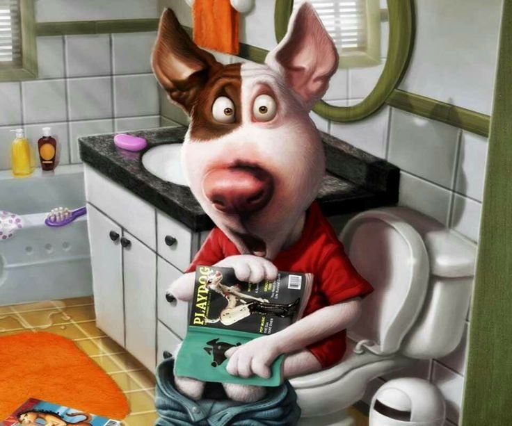 Прикольные картинки на аватарку